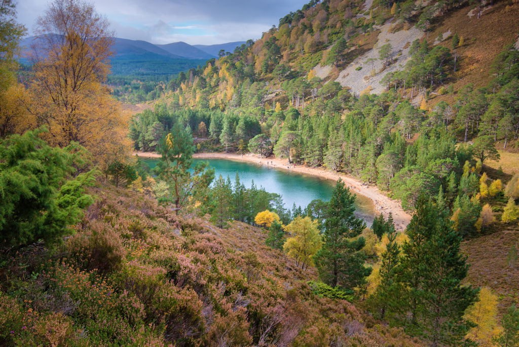  An Lochan Uaine - the Green Loch in the Cairngorms